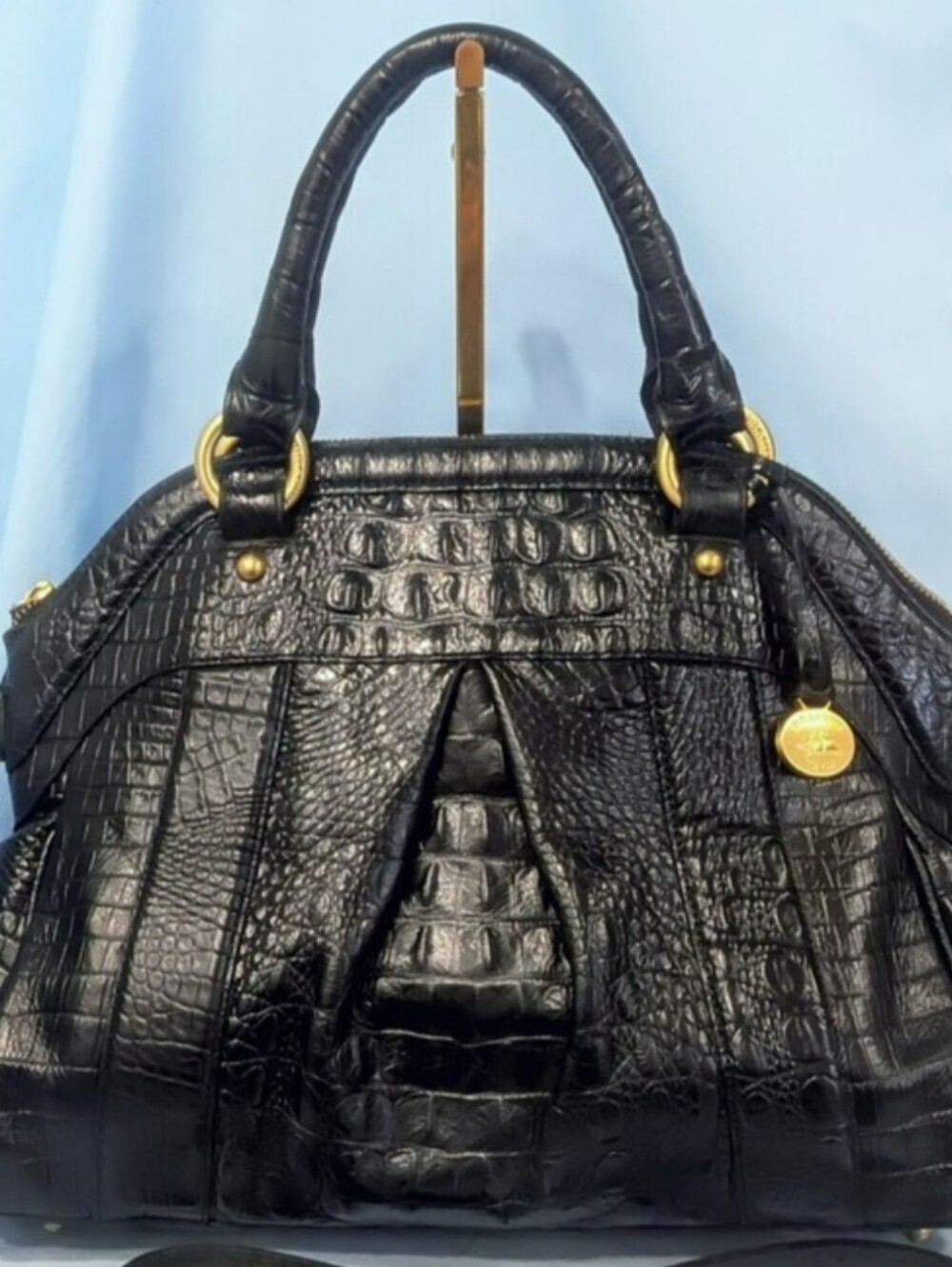 VGUC Brahmin Louise in Black Melbourne